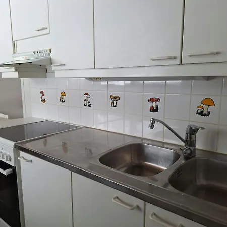 Spacious For 5 Apartament Sodankylä